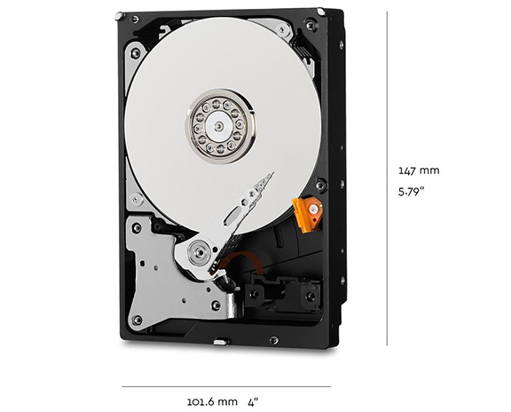 wd puplr dimensions