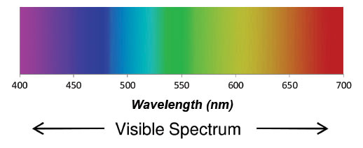 bioptron hyperpolarized light